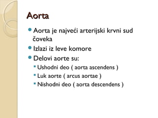 Aorta
Aorta

je najveći arterijski krvni sud
čoveka
Izlazi iz leve komore
Delovi aorte su:
 Ushodni deo ( aorta ascendens )
 Luk aorte ( arcus aortae )
 Nishodni deo ( aorta descendens )

 