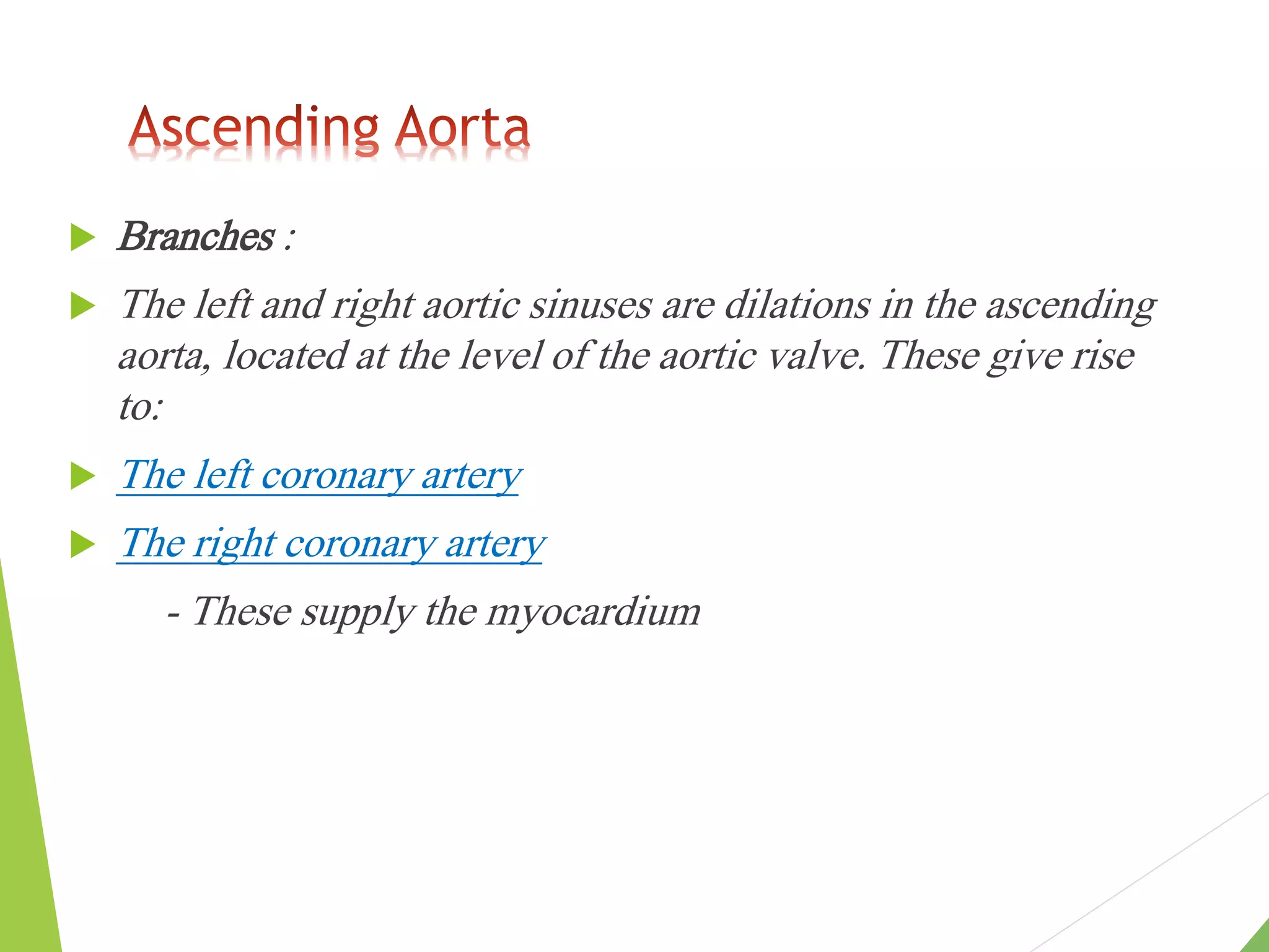 Aorta&its branches . pptx.pptx
