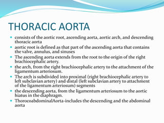 THORACIC AORTA
 consists of the aortic root, ascending aorta, aortic arch, and descending
thoracic aorta
 aortic root is defined as that part of the ascending aorta that contains
the valve, annulus, and sinuses
 The ascending aorta extends from the root to the origin of the right
brachiocephalic artery.
 the arch, from the right brachiocephalic artery to the attachment of the
ligamentum arteriosum.
 The arch is subdivided into proximal (right brachiocephalic artery to
left subclavian artery) and distal (left subclavian artery to attachment
of the ligamentum arteriosum) segments
 the descending aorta, from the ligamentum arteriosum to the aortic
hiatus in the diaphragm.
 ThorocoabdominalAorta-includes the descending and the abdominal
aorta
 