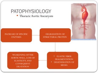 PATOPHYSIOLOGY
 ThoracicAortic Aneurysm
INCREASE OF SPECIFIC
ENZYMES
DEGRADATION OF
STRUCTURAL PROTEIN
WEAKENING OFTHE
AORTICWALL, LOSS OF
ELASTICITY,AND
CONSEQUENT
DILATATION
• ELASTIC FIBER
FRAGMENTATION
• DEGENERATION OF
MEDIA
 