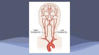 Aortic arch and upper extremities (Anatomy).pdf