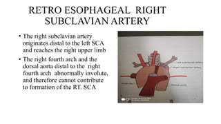 RETRO ESOPHAGEAL RIGHT
SUBCLAVIAN ARTERY
• The right subclavian artery
originates distal to the left SCA
and reaches the right upper limb
• The right fourth arch and the
dorsal aorta distal to the right
fourth arch abnormally involute,
and therefore cannot contribute
to formation of the RT. SCA
 