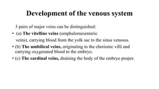 Development of the venous system
3 pairs of major veins can be distinguished:
• (a) The vitelline veins (omphalomesenteric
veins), carrying blood from the yolk sac to the sinus venosus.
• (b) The umbilical veins, originating in the chorionic villi and
carrying oxygenated blood to the embryo.
• (c) The cardinal veins, draining the body of the embryo proper.
 