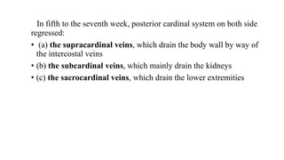 In fifth to the seventh week, posterior cardinal system on both side
regressed:
• (a) the supracardinal veins, which drain the body wall by way of
the intercostal veins
• (b) the subcardinal veins, which mainly drain the kidneys
• (c) the sacrocardinal veins, which drain the lower extremities
 