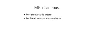 Miscellaneous
• Persistent sciatic artery
• Popliteal entrapment syndrome
 