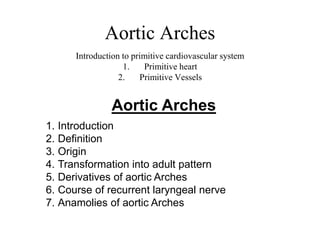 Aortic Arches
Introduction to primitive cardiovascular system
1. Primitive heart
2. Primitive Vessels
Aortic Arches
1. Introduction
2. Definition
3. Origin
4. Transformation into adult pattern
5. Derivatives of aortic Arches
6. Course of recurrent laryngeal nerve
7. Anamolies of aortic Arches
 