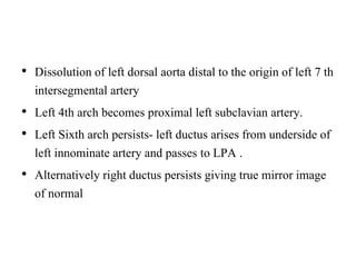• Dissolution of left dorsal aorta distal to the origin of left 7 th
intersegmental artery
• Left 4th arch becomes proximal left subclavian artery.
• Left Sixth arch persists- left ductus arises from underside of
left innominate artery and passes to LPA .
• Alternatively right ductus persists giving true mirror image
of normal
 
