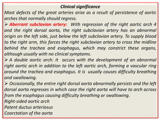 Clinical significance
Most defects of the great arteries arise as a result of persistence of aortic
arches that normally should regress.
 Aberrant subclavian artery: With regression of the right aortic arch 4
and the right dorsal aorta, the right subclavian artery has an abnormal
origin on the left side, just below the left subclavian artery. To supply blood
to the right arm, this forces the right subclavian artery to cross the midline
behind the trachea and esophagus, which may constrict these organs,
although usually with no clinical symptoms.
 A double aortic arch: It occurs with the development of an abnormal
right aortic arch in addition to the left aortic arch, forming a vascular ring
around the trachea and esophagus. It is usually causes difficulty breathing
and swallowing.
 Occasionally, the entire right dorsal aorta abnormally persists and the left
dorsal aorta regresses in which case the right aorta will have to arch across
from the esophagus causing difficulty breathing or swallowing.
Right-sided aortic arch
Patent ductus arteriosus
Coarctation of the aorta
 