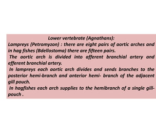 Lower vertebrate (Agnathans):
Lampreys (Petromyzon) : there are eight pairs of aortic arches and
in hag fishes (Bdellostoma) there are fifteen pairs.
The aortic arch is divided into afferent branchial artery and
efferent branchial artery.
In lampreys each aortic arch divides and sends branches to the
posterior hemi-branch and anterior hemi- branch of the adjacent
gill pouch.
In hagfishes each arch supplies to the hemibranch of a single gill-
pouch .
 