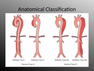 Anatomical Classification
 