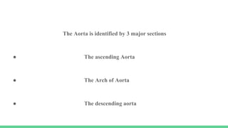 The Aorta is identified by 3 major sections
● The ascending Aorta
● The Arch of Aorta
● The descending aorta
 