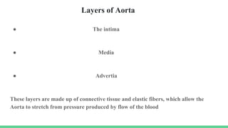 Layers of Aorta
● The intima
● Media
● Advertia
These layers are made up of connective tissue and elastic fibers, which allow the
Aorta to stretch from pressure produced by flow of the blood
 