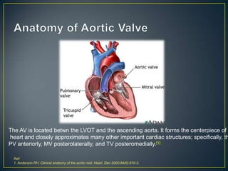 The AV is located betwn the LVOT and the ascending aorta. It forms the centerpiece of t
heart and closely approximates many other important cardiac structures; specifically, th
PV anteriorly, MV posterolaterally, and TV posteromedially.[1]
Ref:
1. Anderson RH. Clinical anatomy of the aortic root. Heart. Dec 2000;84(6):670-3.

 