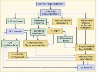 vitrag24-www.medicalgeek.com
 
