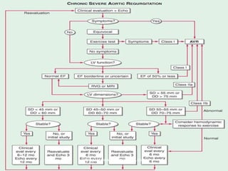 vitrag24-www.medicalgeek.com
 