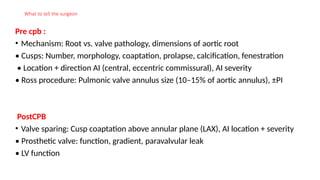 Procolase Cap aortic regurgitation Tranesophhageal echocardiographic evaluation | PPTX