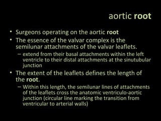 aortic root
• Surgeons operating on the aortic root
• The essence of the valvar complex is the
semilunar attachments of the valvar leaflets.
– extend from their basal attachments within the left
ventricle to their distal attachments at the sinutubular
junction
• The extent of the leaflets defines the length of
the root.
– Within this length, the semilunar lines of attachments
of the leaflets cross the anatomic ventriculo-aortic
junction (circular line marking the transition from
ventricular to arterial walls)
 