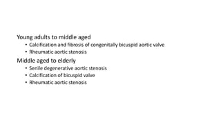Young adults to middle aged
• Calcification and fibrosis of congenitally bicuspid aortic valve
• Rheumatic aortic stenosis
Middle aged to elderly
• Senile degenerative aortic stenosis
• Calcification of bicuspid valve
• Rheumatic aortic stenosis
 