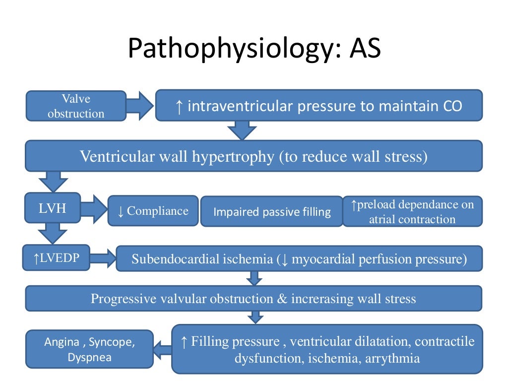 Aortic Stenosis aortic-stenosis