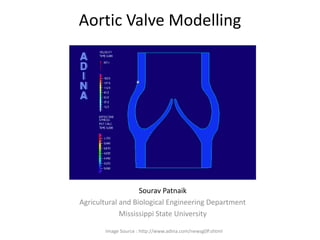 Aortic Valve Modelling Sourav Patnaik Agricultural and Biological Engineering Department Mississippi State University Image Source : http://www.adina.com/newsg0P.shtml 
