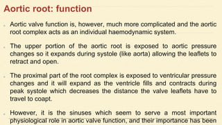 Aortic root: function
Aortic valve function is, however, much more complicated and the aortic
root complex acts as an individual haemodynamic system.
The upper portion of the aortic root is exposed to aortic pressure
changes so it expands during systole (like aorta) allowing the leaflets to
retract and open.
The proximal part of the root complex is exposed to ventricular pressure
changes and it will expand as the ventricle fills and contracts during
peak systole which decreases the distance the valve leaflets have to
travel to coapt.
However, it is the sinuses which seem to serve a most important
physiological role in aortic valve function, and their importance has been
 