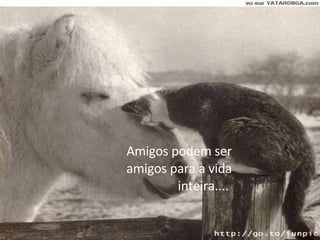 Amigos podem ser amigos para a vida inteira....    