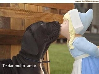 Te dar muito  amor....  