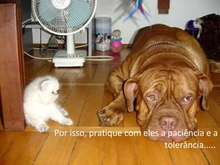 Por isso, pratique com eles a paciência e a tolerância.....  
