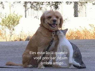 Eles estarão lá quando você precisar de um ombro amigo...  