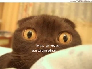 Mas,  às vezes, basta um olhar...  