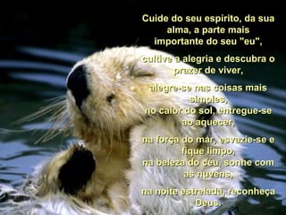 Cuide do seu espírito, da sua alma, a parte mais importante do seu "eu", cultive a alegria e descubra o prazer de viver, alegre-se nas coisas mais simples, no calor do sol, entregue-se ao aquecer, na força do mar, esvazie-se e fique limpo, na beleza do céu, sonhe com as nuvens, na noite estrelada, reconheça Deus. 