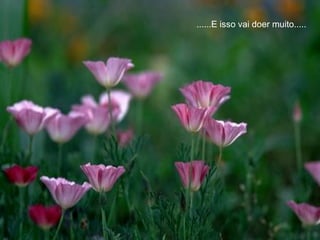 ......E isso vai doer muito.....  