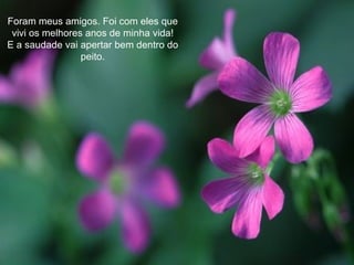 Foram meus amigos. Foi com eles que vivi os melhores anos de minha vida! E a saudade vai apertar bem dentro do peito. 