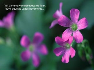 Vai dar uma vontade louca de ligar, ouvir aquelas vozes novamente... 