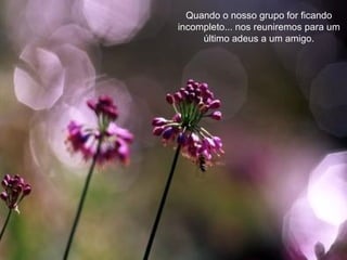 Quando o nosso grupo for ficando incompleto... nos reuniremos para um último adeus a um amigo. 