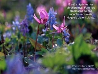 E entre lágrimas nos abraçaremos. Faremos promessas de nos encontrarmos mais,  daquele dia em diante. 