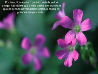 Por isso, fica aqui um pedido deste humilde amigo: não deixe que a vida passe em branco, e que pequenas adversidades sejam a causa de grandes tempestades... 