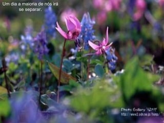 Um dia a maioria de nós irá se separar. 