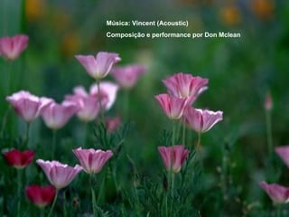 Música: Vincent (Acoustic)  Composição e performance por Don Mclean 