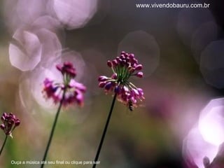 www.vivendobauru.com.br Ouça a música até seu final ou clique para sair 