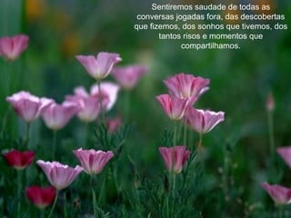 Sentiremos saudade de todas as conversas jogadas fora, das descobertas que fizemos, dos sonhos que tivemos, dos tantos risos e momentos que compartilhamos. 