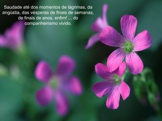 Saudade até dos momentos de lágrimas, da angústia, das vésperas de finais de semanas, de finais de anos, enfim! ... do companheirismo vivido. 