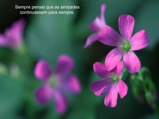 Sempre pensei que as amizades continuassem para sempre. 