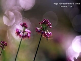 Hoje não tenho mais tanta certeza disso. 