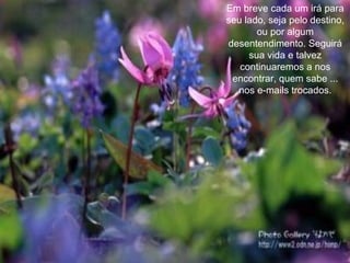 Em breve cada um irá para seu lado, seja pelo destino, ou por algum desentendimento. Seguirá sua vida e talvez continuaremos a nos encontrar, quem sabe ... nos e-mails trocados. 