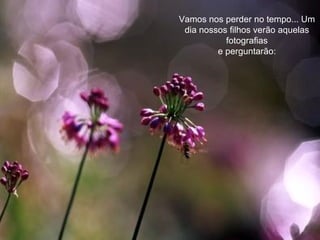 Vamos nos perder no tempo... Um dia nossos filhos verão aquelas fotografias e perguntarão: 
