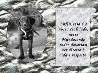 Enfim,essa é a nossa realidade, nesse Mundo,onde todos deveriam ter direito à vida e respeito   