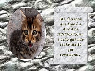 Me disseram que hoje é o Dia Dos ANIMAIS,mas acho que não tenho muito que comemorar,  