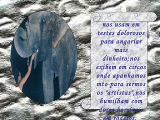 nos usam em testes dolorosos para angariar mais dinheiro;nos exibem em circos onde apanhamos mto para sermos os "artistas",nos humilham com dores horríveis em rodeios;  