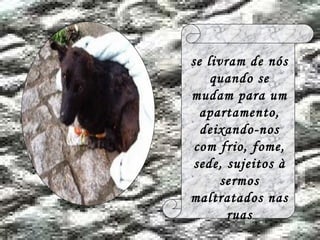 se livram de nós quando se mudam para um apartamento, deixando-nos com frio, fome, sede, sujeitos à sermos maltratados nas ruas 